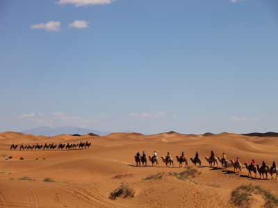 domiciliation-laayoune-morocco